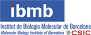 IM_IBMB-CSIC-Logo